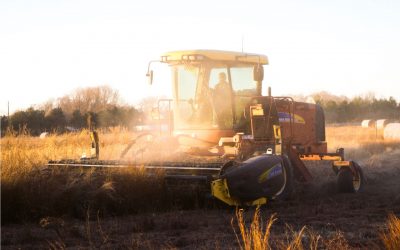 Modern Mezőgazdaság: a szenzorok, amelyek teljesen felmérik a talaj állapotát